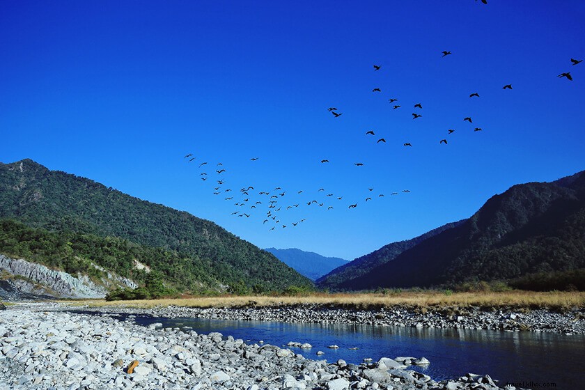 Discover 50 Stunning Bodoland Photos: Dwijing Festival, Manas National Park & Bodo Villages