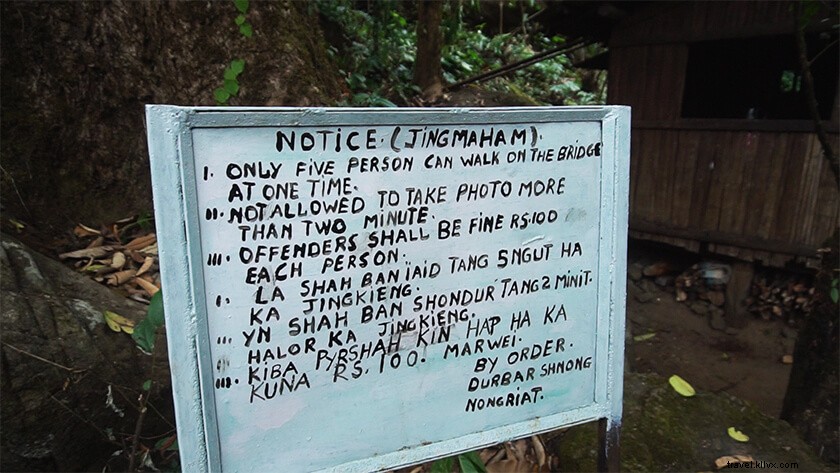 Nongriat Living Root Bridge: Why It s No Longer Worth the Hype