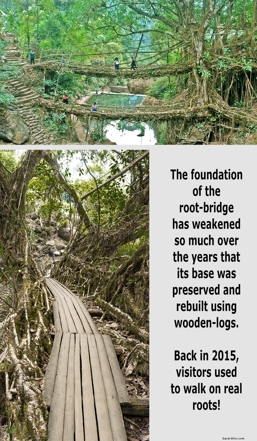 Nongriat Living Root Bridge: Why It s No Longer Worth the Hype