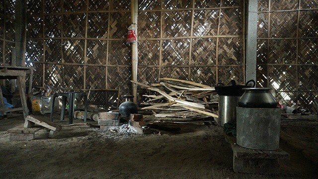 Discover Manas National Park, Assam: Ultimate Guide to Wildlife & Adventure