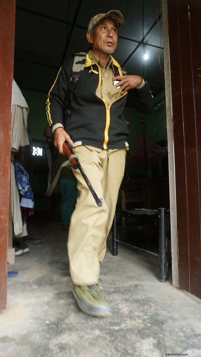 Discover Manas National Park, Assam: Ultimate Guide to Wildlife & Adventure