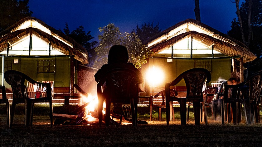 Discover Manas National Park, Assam: Ultimate Guide to Wildlife & Adventure