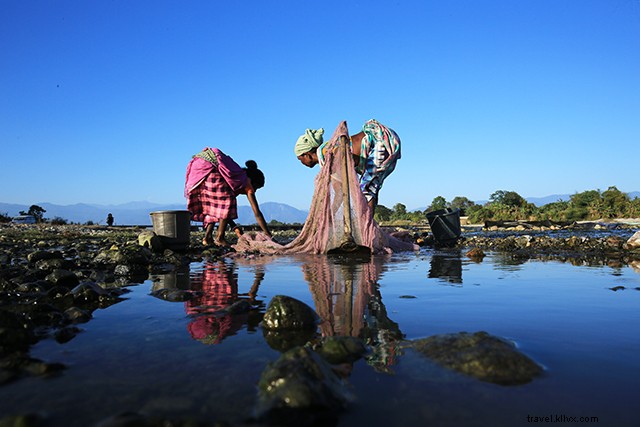Discover Bodoland, Assam: Top Attractions, Wildlife Sanctuaries & Cultural Experiences
