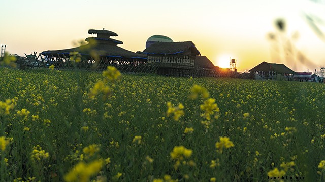 Discover Dwijing Festival: Ultimate Travel Guide to Bodoland, Assam