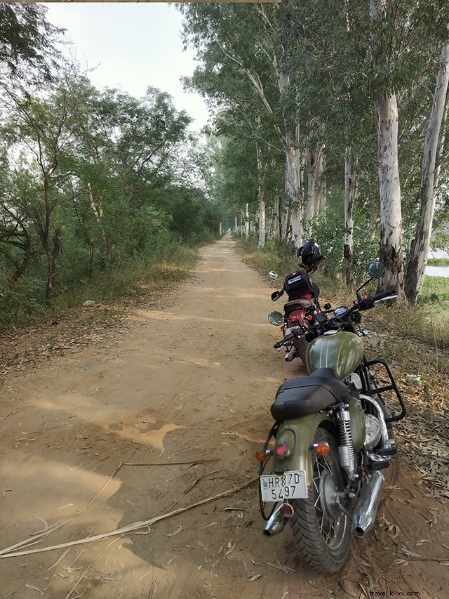 Bhindawas Bird Sanctuary: Perfect Day Trip Escape from Delhi