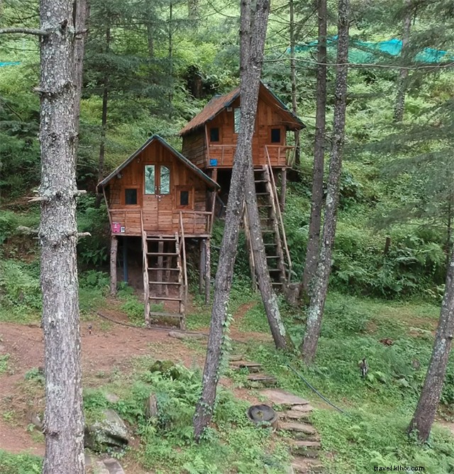 Kotkhai Tree House: Unforgettable Shimla Stay Amidst Nature