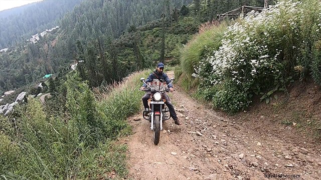 Kotkhai Tree House: Unforgettable Shimla Stay Amidst Nature