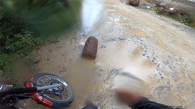 Kotkhai Tree House: Unforgettable Shimla Stay Amidst Nature