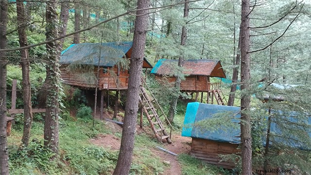 Kotkhai Tree House: Unforgettable Shimla Stay Amidst Nature