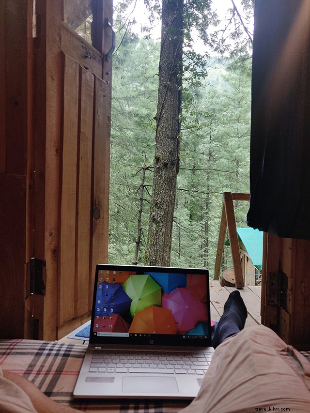 Kotkhai Tree House: Unforgettable Shimla Stay Amidst Nature