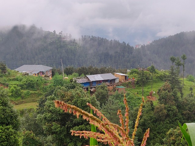 Discover Cheog Village: Shimla s Authentic Offbeat Haven and Cultural Gem