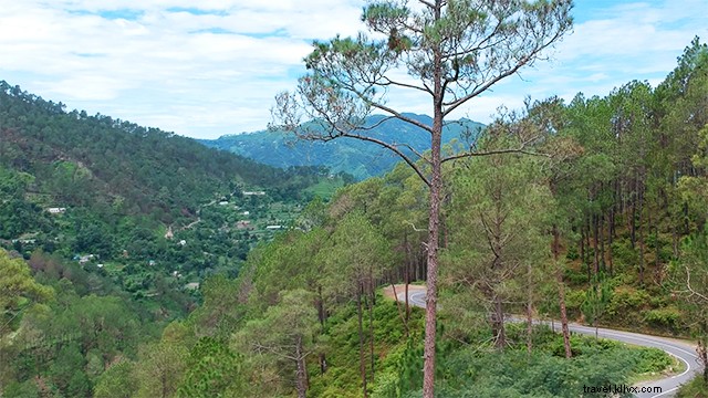 Chail vs Shimla: Which Hill Station Offers the Best Monsoon Escape?