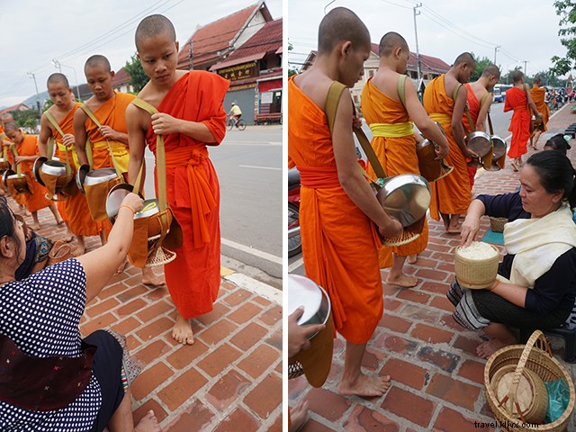 Luang Prabang Tak Bat: Captivating Morning Alms-Giving Ceremony in Stunning Pictures