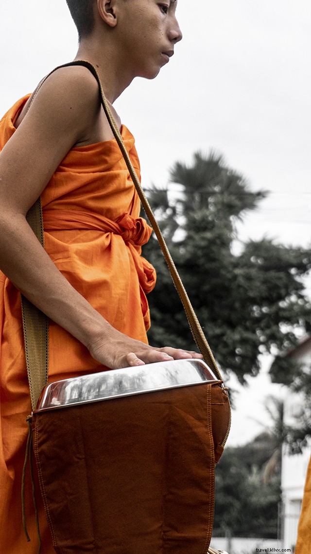 Luang Prabang Tak Bat: Captivating Morning Alms-Giving Ceremony in Stunning Pictures