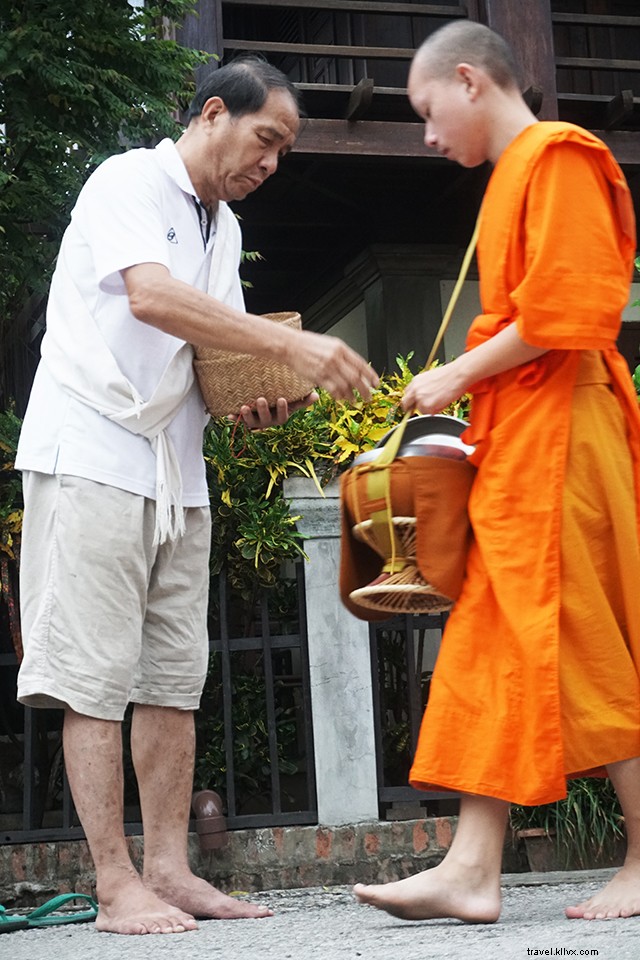 Luang Prabang Tak Bat: Captivating Morning Alms-Giving Ceremony in Stunning Pictures