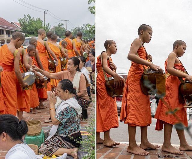 Luang Prabang Tak Bat: Captivating Morning Alms-Giving Ceremony in Stunning Pictures