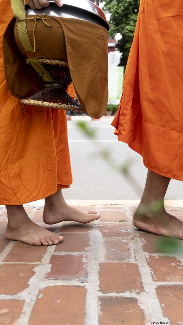 Luang Prabang Tak Bat: Captivating Morning Alms-Giving Ceremony in Stunning Pictures