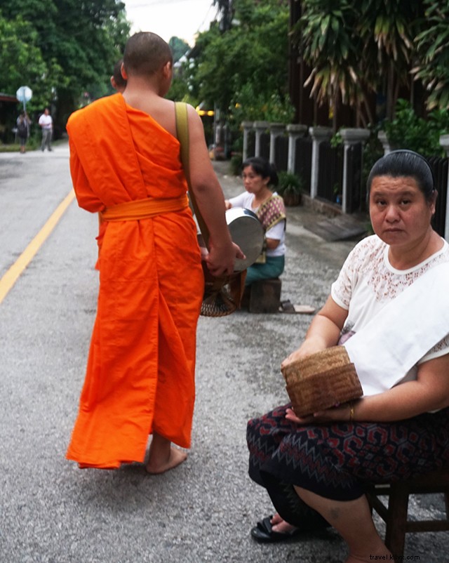 Luang Prabang Tak Bat: Captivating Morning Alms-Giving Ceremony in Stunning Pictures