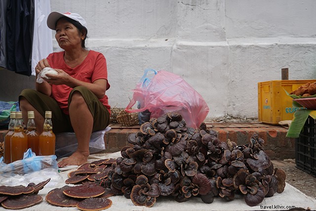 Ultimate 4-Day Luang Prabang Itinerary: Explore Laos  UNESCO Gem