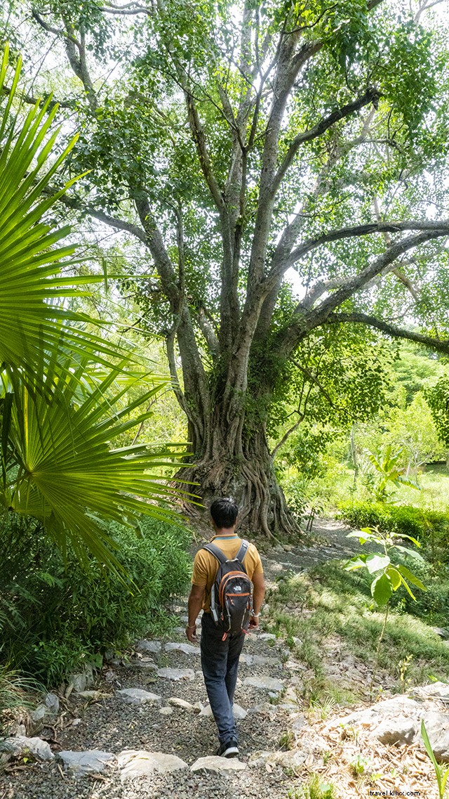 Ultimate 4-Day Luang Prabang Itinerary: Explore Laos  UNESCO Gem