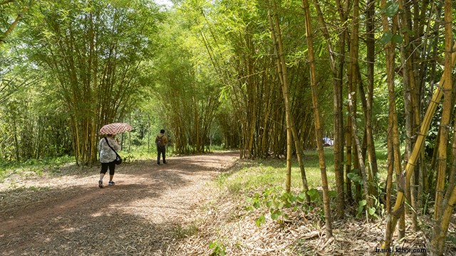 Ultimate 4-Day Luang Prabang Itinerary: Explore Laos  UNESCO Gem