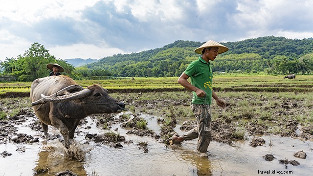 Ultimate 4-Day Luang Prabang Itinerary: Explore Laos  UNESCO Gem