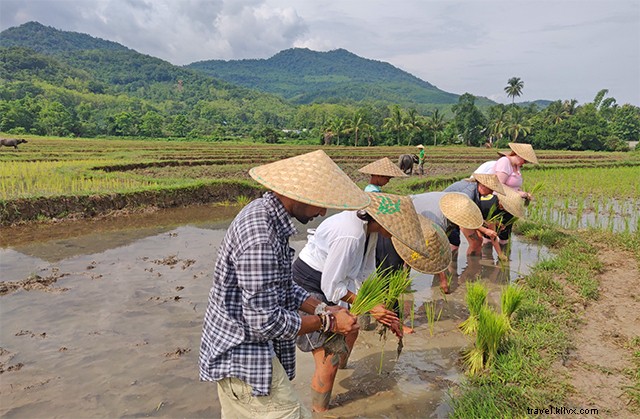 Ultimate 4-Day Luang Prabang Itinerary: Explore Laos  UNESCO Gem