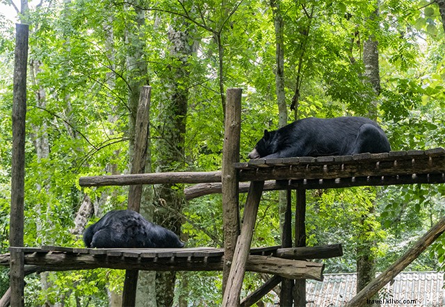 Ultimate 4-Day Luang Prabang Itinerary: Explore Laos  UNESCO Gem