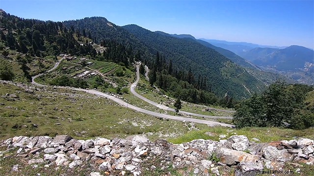 Ultimate 7-Day Road Trip Itinerary: Delhi to Munsiyari in Uttarakhand