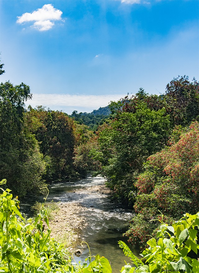 Camping, Hiking & Rafting in Kiulu, Sabah: Discover Offbeat Malaysian Adventures