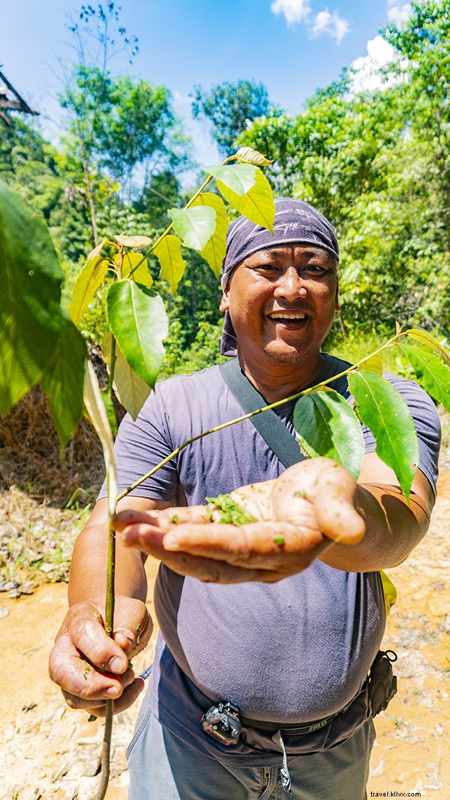 First Impressions of Sabah, Malaysia: Discovering the Charm of Borneo