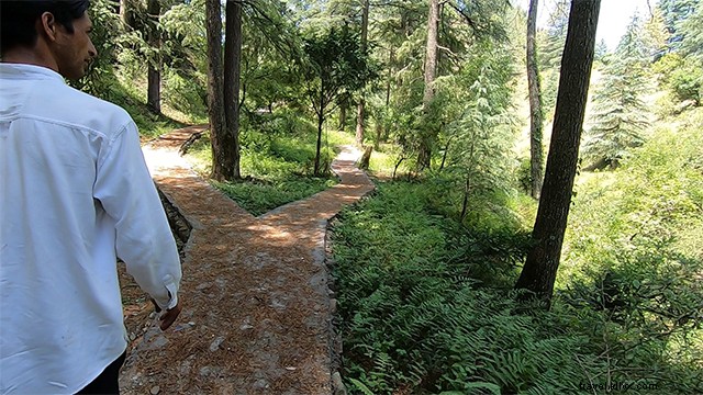 Authentic Village Life in Naikana, Kumaon Uttarakhand: Himalayan Escape