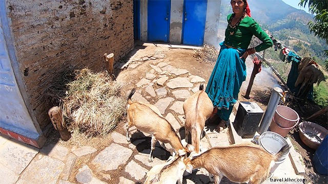 Authentic Village Life in Naikana, Kumaon Uttarakhand: Himalayan Escape