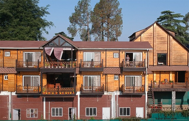 Delhi to Almora Road Trip: Essential Travel Tips & Insider Guide