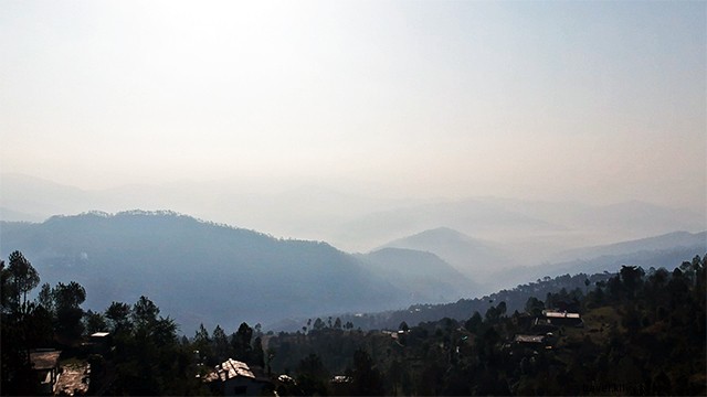 Delhi to Almora Road Trip: Essential Travel Tips & Insider Guide
