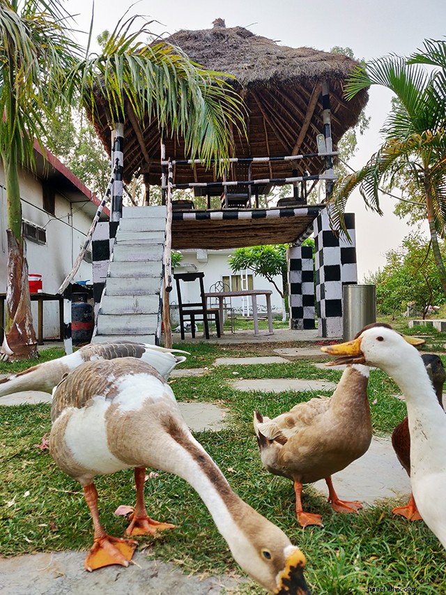 Discover Kalagarh: Premier Weekend Getaway from Delhi – Scenic Drives & Wildlife Bliss