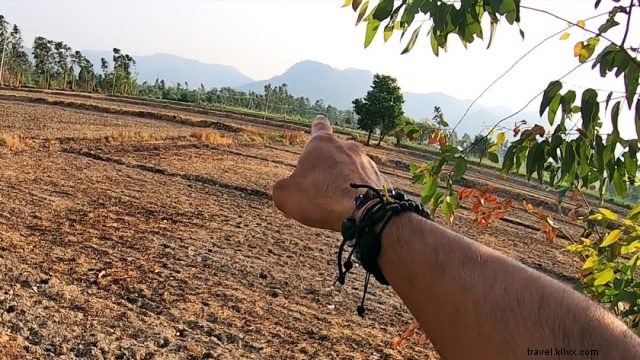 Discover Kalagarh: Premier Weekend Getaway from Delhi – Scenic Drives & Wildlife Bliss