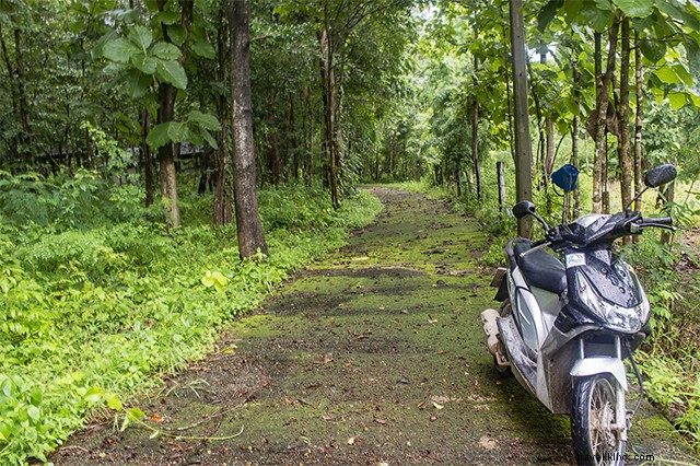 Essential Goa Travel Tips: 5 Expert Ways to Plan Your Perfect Trip