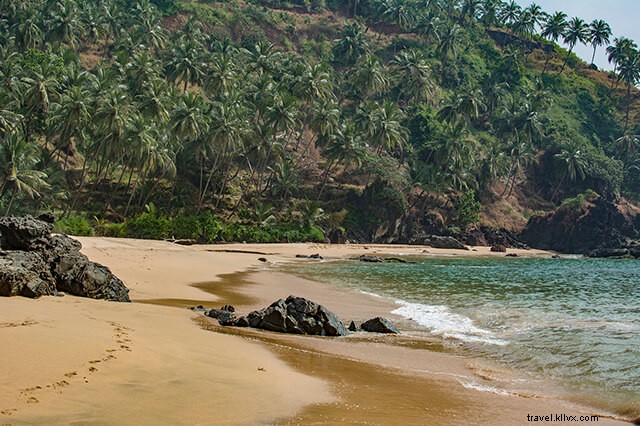 Essential Goa Travel Tips: 5 Expert Ways to Plan Your Perfect Trip