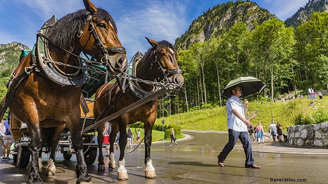 Ultimate 7-Day Road Trip Itinerary: Germany s Romantic Road Fairy-Tale Route