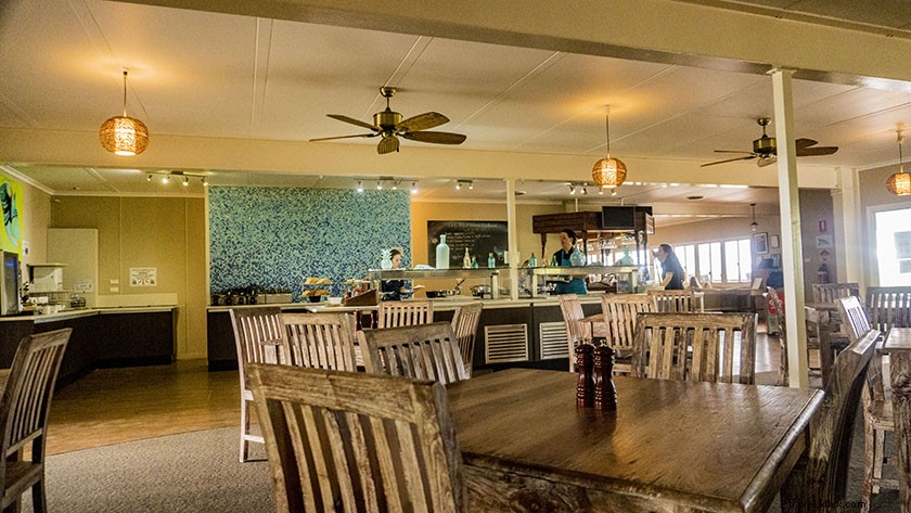 Unforgettable Day Trip to Lady Elliot Island from Gold Coast, Australia