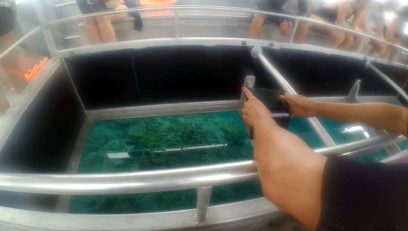 Unforgettable Day Trip to Lady Elliot Island from Gold Coast, Australia