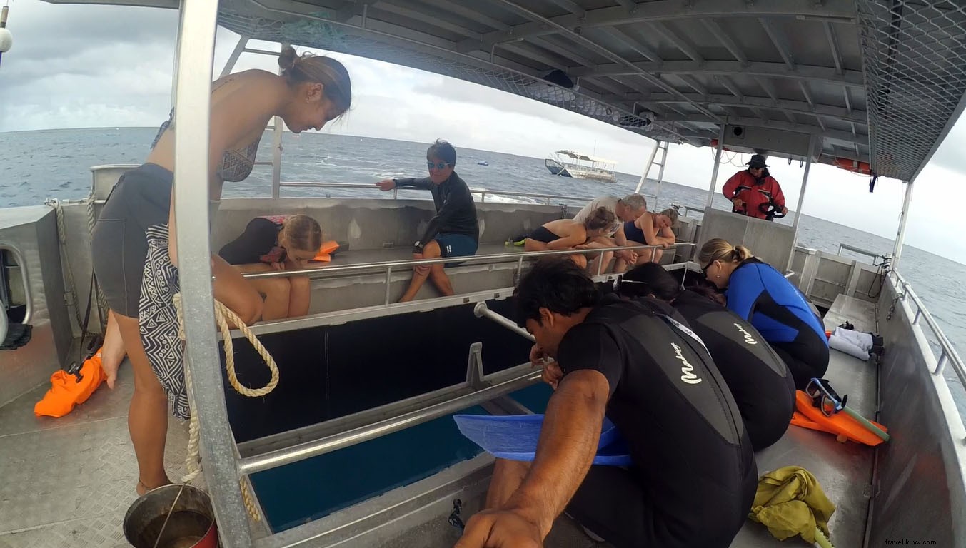 Unforgettable Day Trip to Lady Elliot Island from Gold Coast, Australia