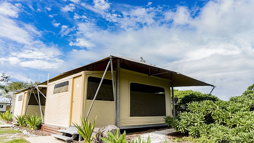 Unforgettable Day Trip to Lady Elliot Island from Gold Coast, Australia