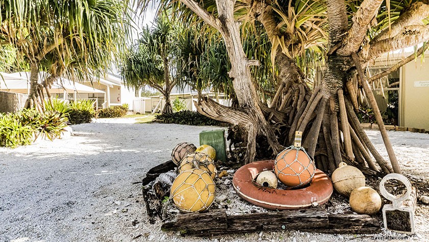 Unforgettable Day Trip to Lady Elliot Island from Gold Coast, Australia