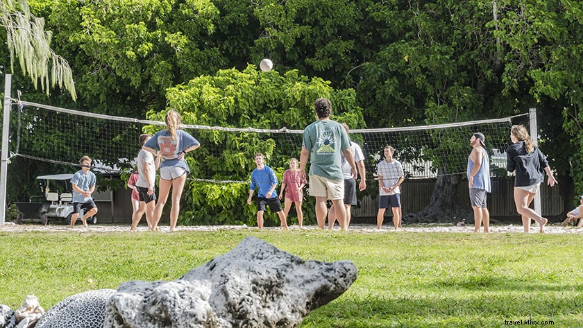 Unforgettable Day Trip to Lady Elliot Island from Gold Coast, Australia