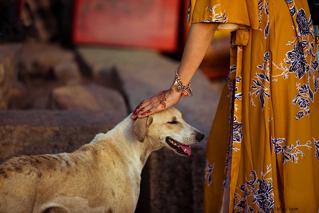 Top Reasons to Start Travelling Today: Transform Your Life with Adventure