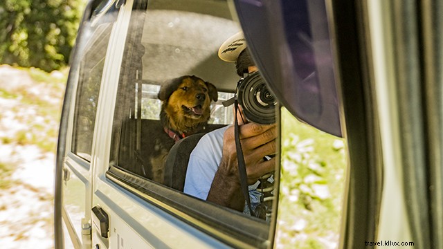 Top Reasons to Start Travelling Today: Transform Your Life with Adventure