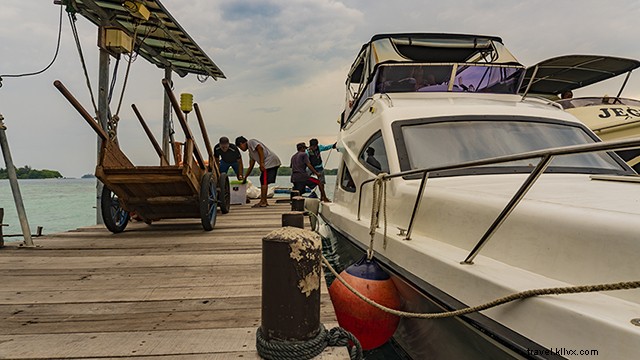 Discover Pulau Macan Island: The Ultimate Eco Day Trip from Jakarta