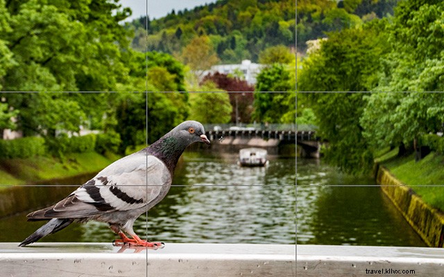 11 Essential Travel Photography Tips for Beginners to Capture Stunning Shots